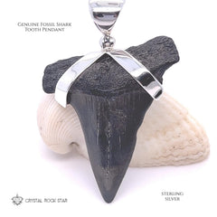 Megalodon Shark Tooth Sterling Silver Pendant