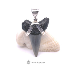 Mako Shark Tooth Fossil Sterling Silver Pendant