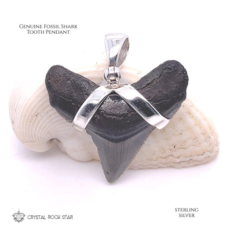 Shark Tooth Real Fossil Sterling Silver Pendant