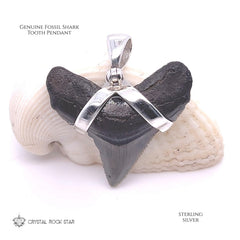 Shark Tooth Real Fossil Sterling Silver Pendant