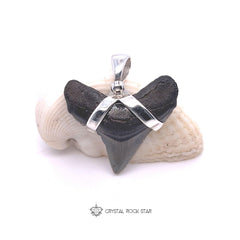 Shark Tooth Real Fossil Sterling Silver Pendant