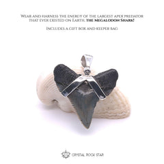 Megalodon Shark Tooth Fossil Silver Pendant