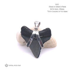 Megalodon Shark Tooth Fossil Silver Pendant