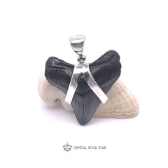 Megalodon Shark Tooth Fossil Silver Pendant