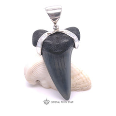 Mako Shark Tooth Fossil Silver Pendant
