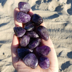 Amethyst Tumbled Stone Crystal 1" - 1.5" Brazil