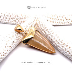Shark Tooth Fossil Pendant 18k Gold Plated