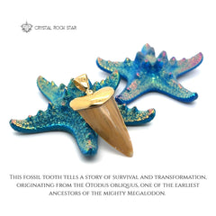 Shark Tooth Fossil Pendant 18k Gold Plated