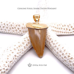 Shark Tooth Fossil Pendant 18k Gold Plated