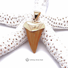 Shark Tooth Fossil Pendant 18k Gold Plated