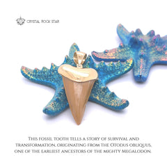 Shark Tooth Fossil Pendant 18k Gold Plated