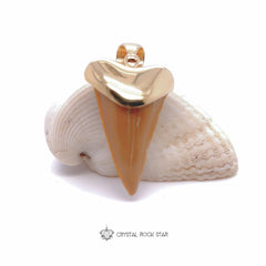 Shark Tooth Fossil Pendant 18k Gold Plated