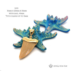 Shark Tooth Fossil Pendant 18k Gold Plated