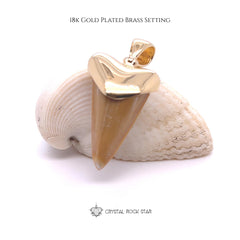 Shark Tooth Fossil Pendant 18k Gold Plated