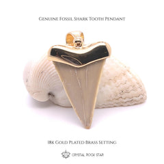 Beige Shark Tooth Fossil Pendant 18k Gold