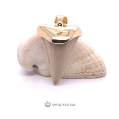 Beige Shark Tooth Fossil Pendant 18k Gold