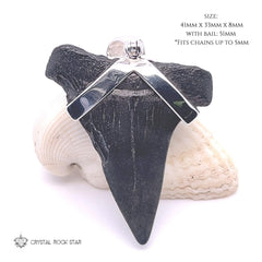 Megalodon Shark Tooth Sterling Silver Pendant