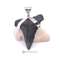 Megalodon Shark Tooth Sterling Silver Pendant