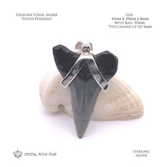 Mako Shark Tooth Fossil Sterling Silver Pendant
