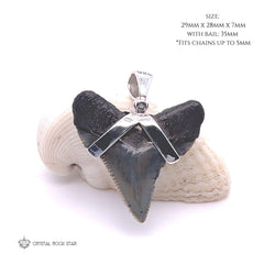 Shark Tooth Real Fossil Sterling Silver Pendant