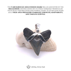 Shark Tooth Real Fossil Sterling Silver Pendant
