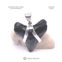 Megalodon Shark Tooth Fossil Silver Pendant