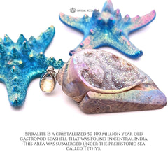 Rainbow Aura Spiralite Crystal Seashell Pendant