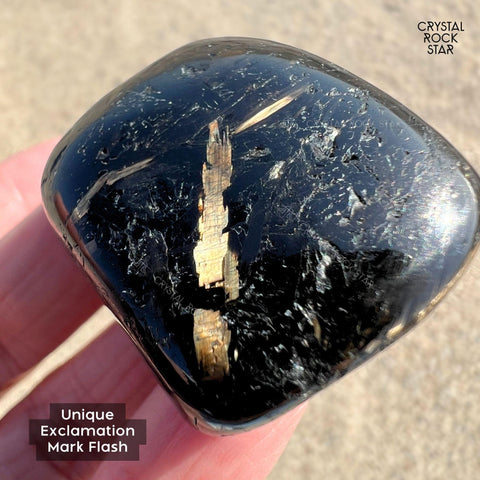 Greenland Nuummite With ! Symbol 1.2"