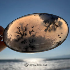 Merlinite Dendritic Agate Opal Silver Pendant