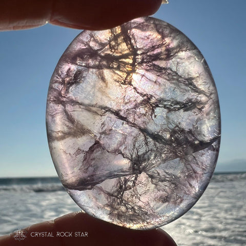 Fluorite Palm Stone - Pastel Lavender Blue