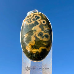 Panda Face Ocean Jasper Sterling Silver Pendant