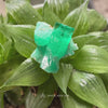 A rare triple rod cluster formation of raw, untreated Colombian emerald crystal, showing three natural terminated green mineral rods growing together, 48 carats, approximately 25 millimeters in size.