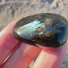 Premium Greenland Nuummite Tumbled Stone, Rare Blue and Gold Flashes, Empath Protection, Genuine Flashy Collector Specimen