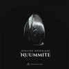 Blue Flash Nuummite Tumbled Stone, 3 Billion Years Old Genuine Greenland Specimen, Empath Protection, Rare Crystal Healing Collectible