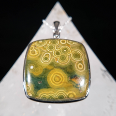 Orbicular Ocean Jasper Pendant