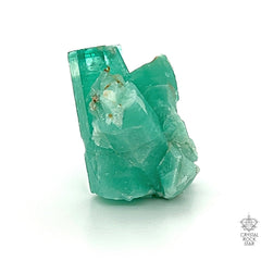 Colombian Emerald Natural Collector Cluster