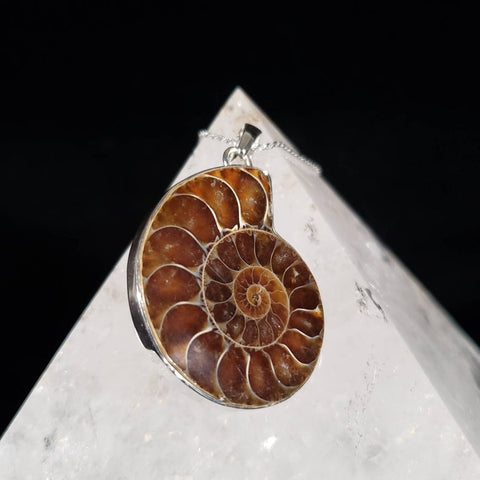 Avatar Ammonite Seashell Fossil Pendant