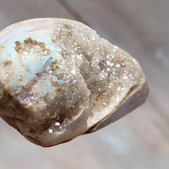 Rainbow Spiralite Seashell Crystal Pendant