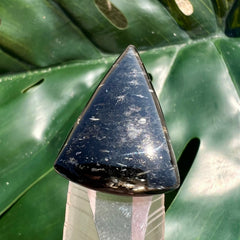 Silver Bronze Nuummite Triangle Cabochon
