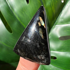 Flashy Greenland Nuummite Triangle Cabochon