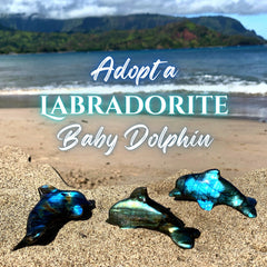 Labradorite Baby Dolphin Crystal