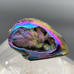 Titanium Aura Spiralite Crystal Fossil Seashell